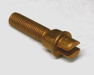 Screw